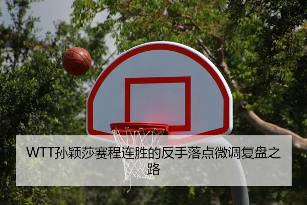 sun-ying-sha-sai-cheng-lian-sheng-de-fan-shou-luo-dian-wei-diao-fu-pan-zhi-lu-2-711.jpg
